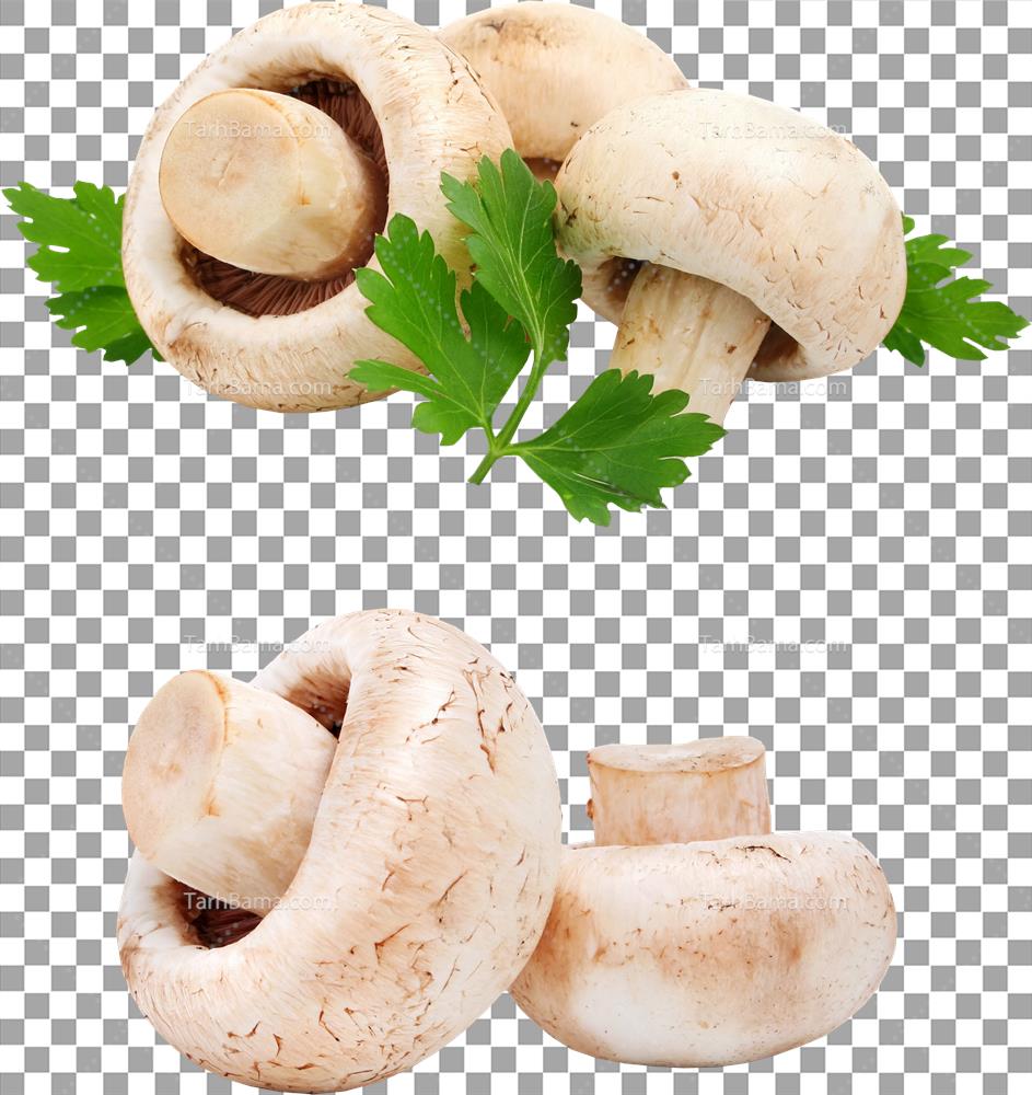 تصاویر سبزیجات